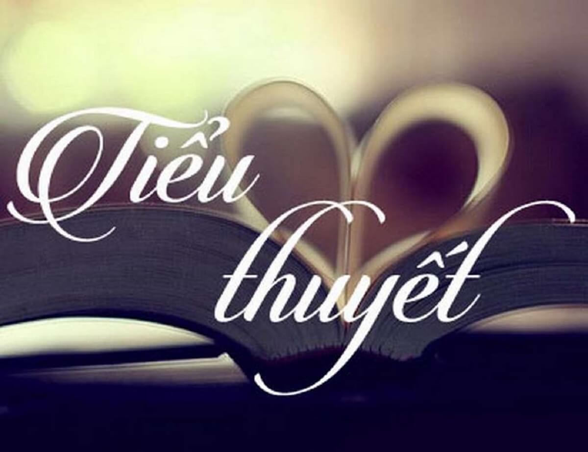 Tiểu thuyết là gì? Một số đặc điểm, thể loại của tiểu thuyết - Sfrv.org