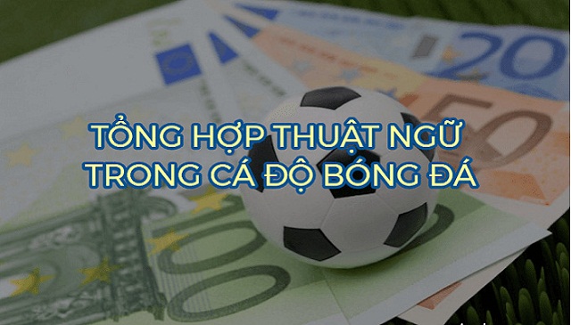 Nắm chắc các thuật ngữ tiếng anh cần biết khi soi kèo bóng đá